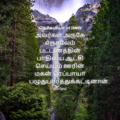Picture 04 - நெகேமியா 3:9 TAMIRV - அவர்கள் அருகே - Bible Verse Picture