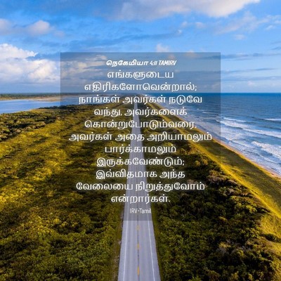 Picture 04 - நெகேமியா 4:11 TAMIRV - எங்களுடைய - Bible Verse Picture