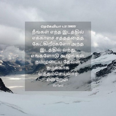Picture 04 - நெகேமியா 4:20 TAMIRV - நீங்கள் எந்த - Bible Verse Picture