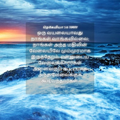 Picture 04 - நெகேமியா 5:16 TAMIRV - ஒரு வயலையாவது - Bible Verse Picture