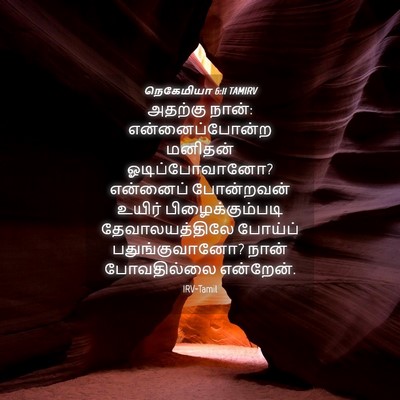 Picture 04 - நெகேமியா 6:11 TAMIRV - அதற்கு நான்: - Bible Verse Picture