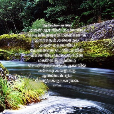 Picture 04 - நெகேமியா 6:18 TAMIRV - அவன் ஆராகின் - Bible Verse Picture