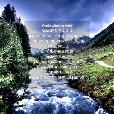 Picture 04 - நெகேமியா 6:19 TAMIRV - அவன் செய்யும் - Bible Verse Picture