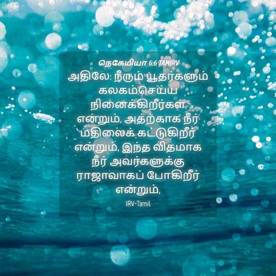Picture 04 - நெகேமியா 6:6 TAMIRV - அதிலே: நீரும் - Bible Verse Picture