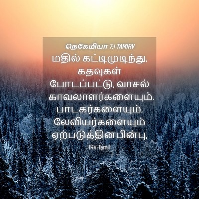 Picture 04 - நெகேமியா 7:1 TAMIRV - மதில் - Bible Verse Picture
