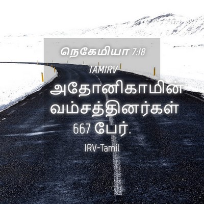 Picture 04 - நெகேமியா 7:18 TAMIRV - அதோனிகாமின் - Bible Verse Picture
