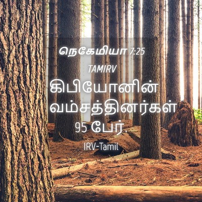 Picture 04 - நெகேமியா 7:25 TAMIRV - கிபியோனின் - Bible Verse Picture