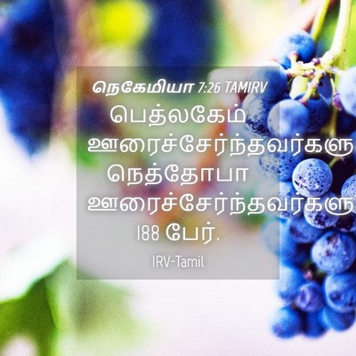 Picture 04 - நெகேமியா 7:26 TAMIRV - பெத்லகேம் - Bible Verse Picture