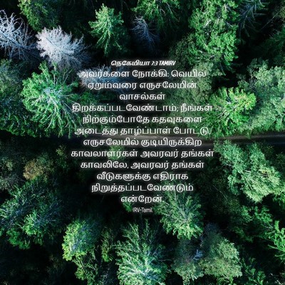 Picture 04 - நெகேமியா 7:3 TAMIRV - அவர்களை நோக்கி: - Bible Verse Picture