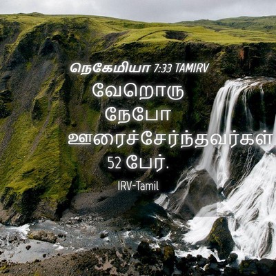 Picture 04 - நெகேமியா 7:33 TAMIRV - வேறொரு நேபோ - Bible Verse Picture