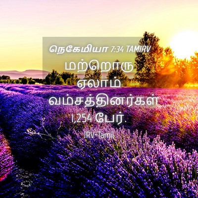 Picture 04 - நெகேமியா 7:34 TAMIRV - மற்றொரு ஏலாம் - Bible Verse Picture