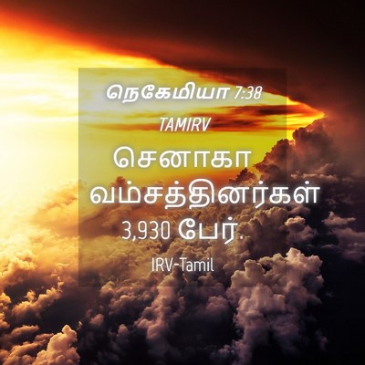 Picture 04 - நெகேமியா 7:38 TAMIRV - செனாகா - Bible Verse Picture