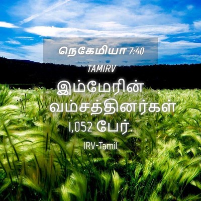 Picture 04 - நெகேமியா 7:40 TAMIRV - இம்மேரின் - Bible Verse Picture