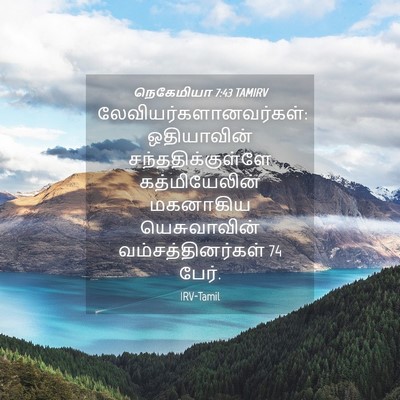 Picture 04 - நெகேமியா 7:43 TAMIRV -  - Bible Verse Picture