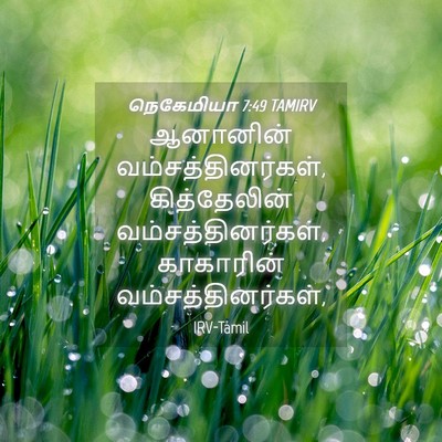 Picture 04 - நெகேமியா 7:49 TAMIRV - ஆனானின் - Bible Verse Picture