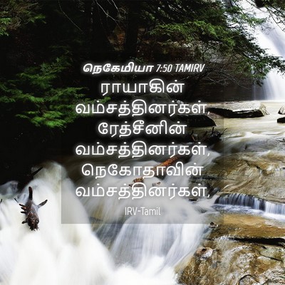 Picture 04 - நெகேமியா 7:50 TAMIRV - ராயாகின் - Bible Verse Picture