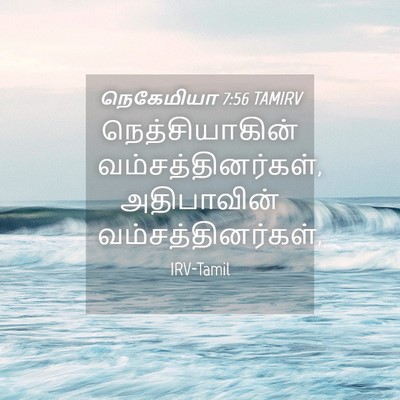 Picture 04 - நெகேமியா 7:56 TAMIRV - நெத்சியாகின் - Bible Verse Picture