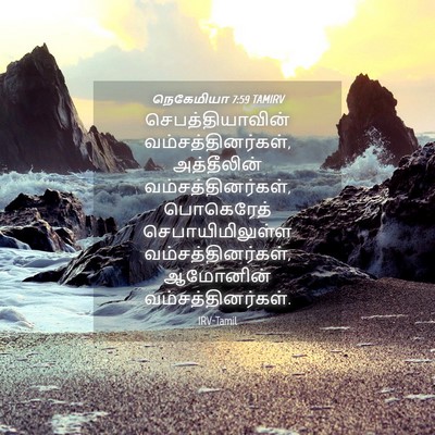 Picture 04 - நெகேமியா 7:59 TAMIRV - செபத்தியாவின் - Bible Verse Picture