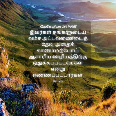 Picture 04 - நெகேமியா 7:64 TAMIRV - இவர்கள் தங்களுடைய - Bible Verse Picture