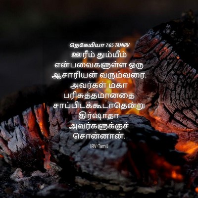 Picture 04 - நெகேமியா 7:65 TAMIRV - ஊரீம் தும்மீம் - Bible Verse Picture