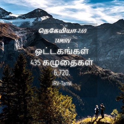 Picture 04 - நெகேமியா 7:69 TAMIRV - ஒட்டகங்கள் 435 - Bible Verse Picture