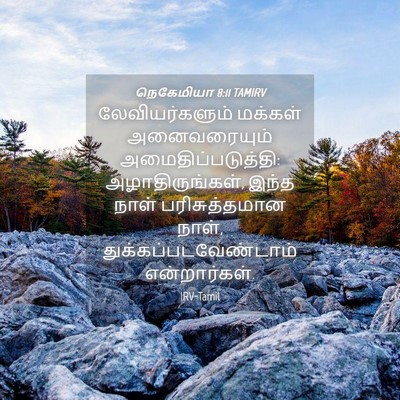 Picture 04 - நெகேமியா 8:11 TAMIRV - லேவியர்களும் - Bible Verse Picture