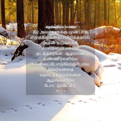 Picture 04 - நெகேமியா 9:11 TAMIRV - நீர் அவர்களுக்கு - Bible Verse Picture