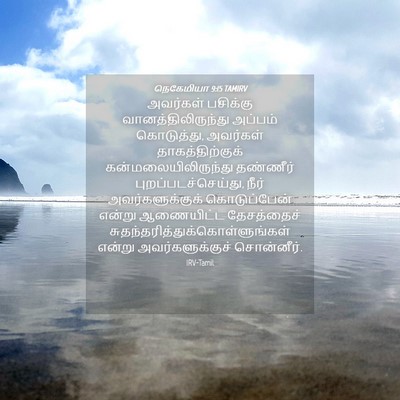 Picture 04 - நெகேமியா 9:15 TAMIRV - அவர்கள் பசிக்கு - Bible Verse Picture