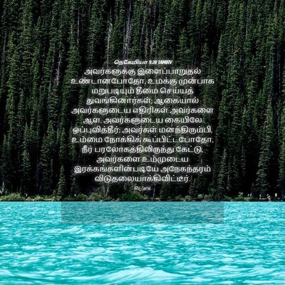 Picture 04 - நெகேமியா 9:28 TAMIRV - அவர்களுக்கு - Bible Verse Picture