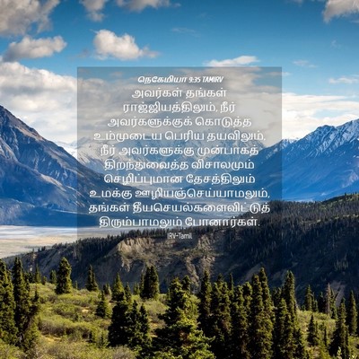 Picture 04 - நெகேமியா 9:35 TAMIRV - அவர்கள் தங்கள் - Bible Verse Picture
