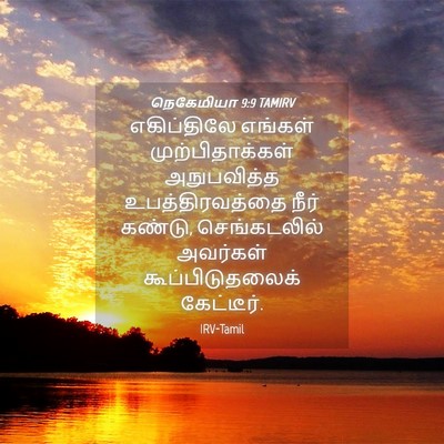 Picture 04 - நெகேமியா 9:9 TAMIRV - எகிப்திலே எங்கள் - Bible Verse Picture