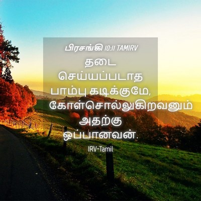 Picture 04 - பிரசங்கி 10:11 TAMIRV - தடை செய்யப்படாத - Bible Verse Picture