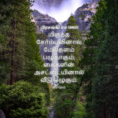 Picture 04 - பிரசங்கி 10:18 TAMIRV - மிகுந்த - Bible Verse Picture