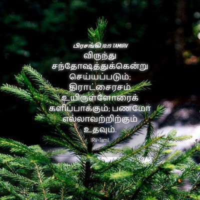 Picture 04 - பிரசங்கி 10:19 TAMIRV - விருந்து - Bible Verse Picture