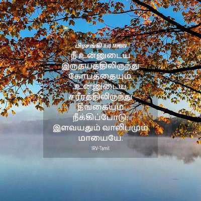 Picture 04 - பிரசங்கி 11:10 TAMIRV - நீ உன்னுடைய - Bible Verse Picture