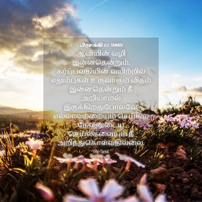 Picture 04 - பிரசங்கி 11:5 TAMIRV - ஆவியின் வழி - Bible Verse Picture
