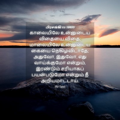 Picture 04 - பிரசங்கி 11:6 TAMIRV - காலையிலே உன்னுடைய - Bible Verse Picture