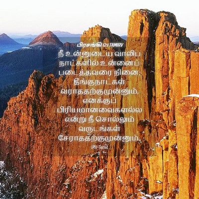 Picture 04 - பிரசங்கி 12:1 TAMIRV - நீ உன்னுடைய வாலிப - Bible Verse Picture