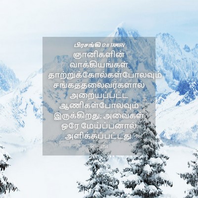 Picture 04 - பிரசங்கி 12:11 TAMIRV - ஞானிகளின் - Bible Verse Picture