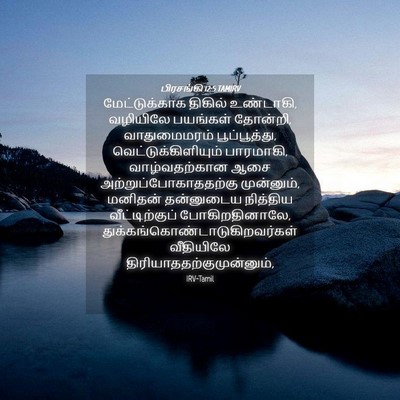 Picture 04 - பிரசங்கி 12:5 TAMIRV - மேட்டுக்காக - Bible Verse Picture