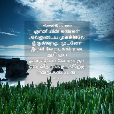 Picture 04 - பிரசங்கி 2:14 TAMIRV - ஞானியின் கண்கள் - Bible Verse Picture