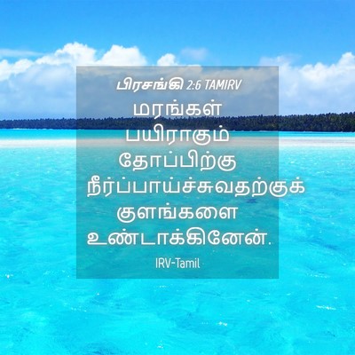 Picture 04 - பிரசங்கி 2:6 TAMIRV - மரங்கள் பயிராகும் - Bible Verse Picture