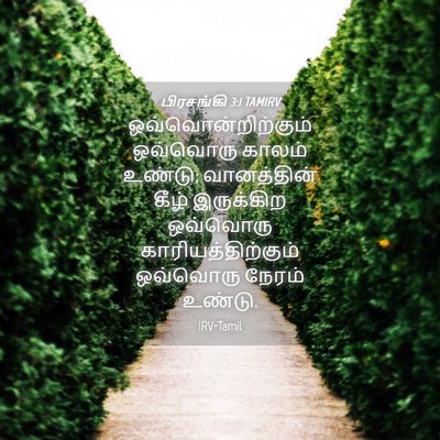 Picture 04 - பிரசங்கி 3:1 TAMIRV - ஒவ்வொன்றிற்கும் - Bible Verse Picture