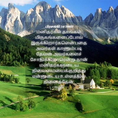 Picture 04 - பிரசங்கி 3:18 TAMIRV - மனிதர்கள் தாங்கள் - Bible Verse Picture