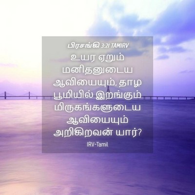 Picture 04 - பிரசங்கி 3:21 TAMIRV - உயர ஏறும் - Bible Verse Picture