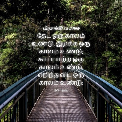Picture 04 - பிரசங்கி 3:6 TAMIRV - தேட ஒரு காலம் - Bible Verse Picture
