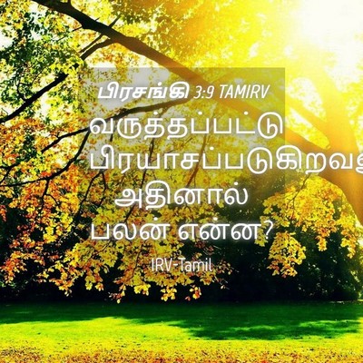 Picture 04 - பிரசங்கி 3:9 TAMIRV - வருத்தப்பட்டு - Bible Verse Picture