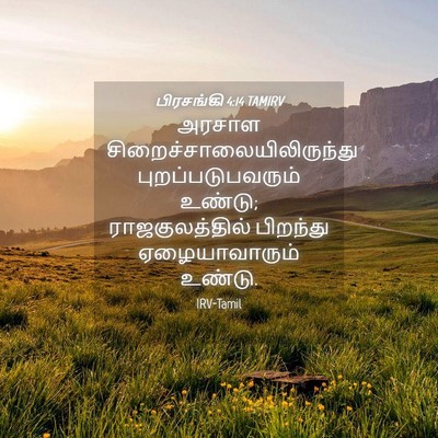 Picture 04 - பிரசங்கி 4:14 TAMIRV - அரசாள - Bible Verse Picture