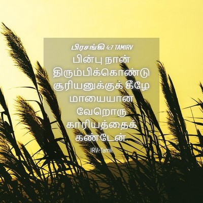 Picture 04 - பிரசங்கி 4:7 TAMIRV - பின்பு நான் - Bible Verse Picture
