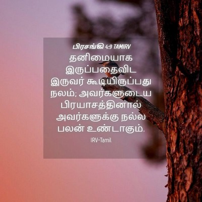 Picture 04 - பிரசங்கி 4:9 TAMIRV - தனிமையாக - Bible Verse Picture